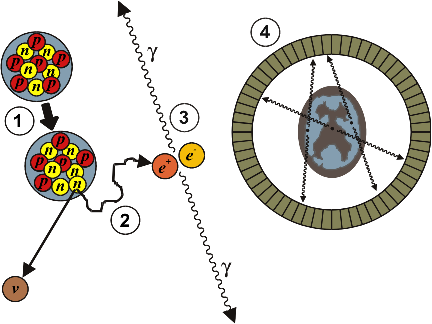 The basics of PET imaging